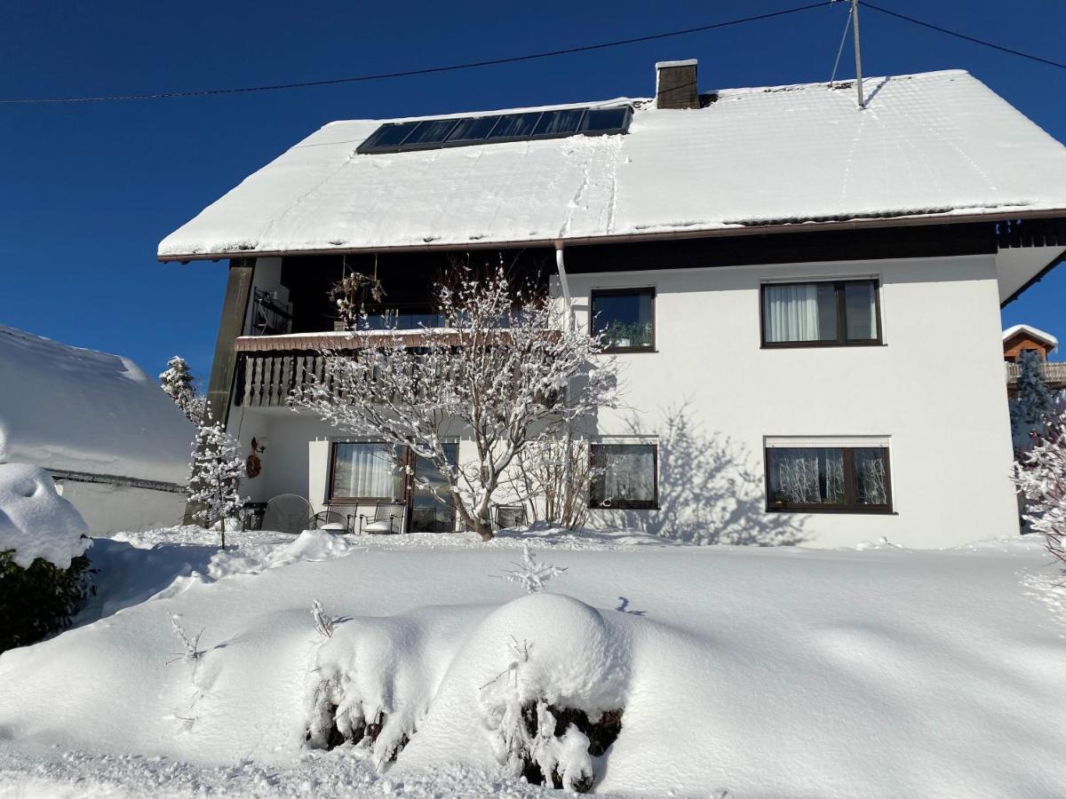 Haus Janssen-Wehrle Appartement Titisee-Neustadt Buitenkant foto
