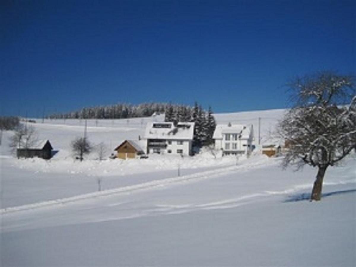 Haus Janssen-Wehrle Appartement Titisee-Neustadt Buitenkant foto